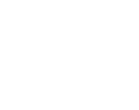 Ingresse logo
